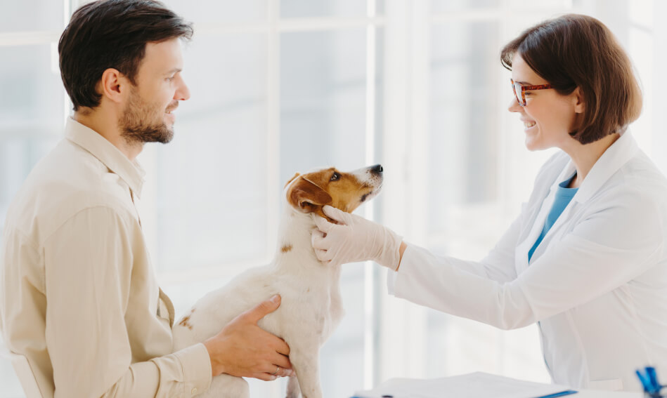 Veterinario realizando una inspección física a perro acompañado por su dueño